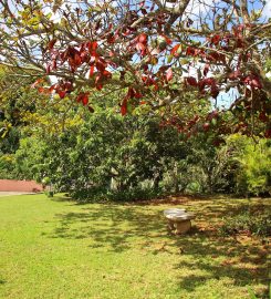 Agapantha Cottage Bed & Breakfast