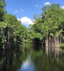 J. Charles Swaby’s Black River Safari