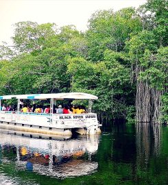 J. Charles Swaby’s Black River Safari